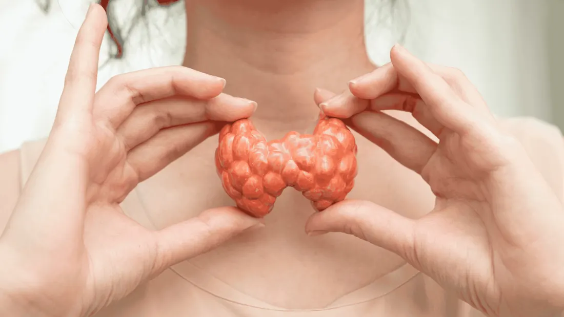 Câncer de Tireoide: Diagnóstico, Tipos de Tumor e Cirurgia Minimamente Invasiva · imagem ilustrativa